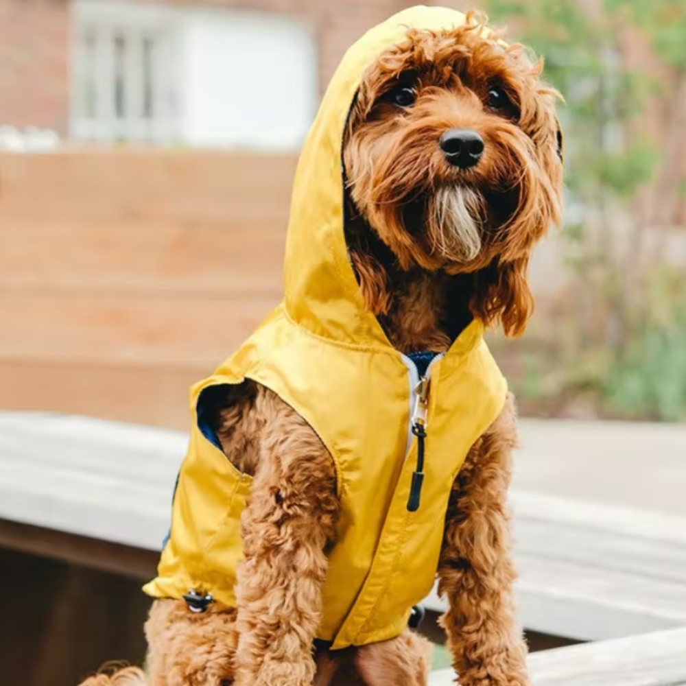 Lucy and co the shark attack raincoat